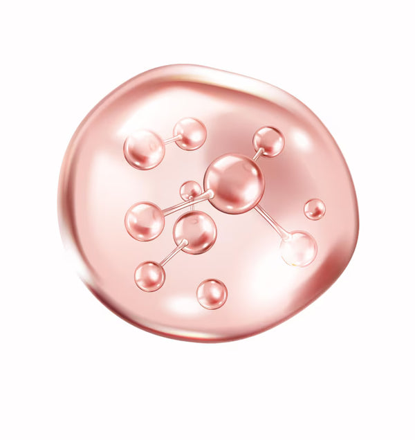 Collagène Faible Poids Moléculaire